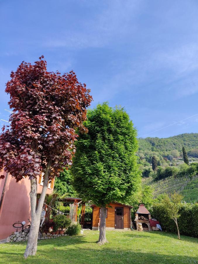 Casa Vacanze Monte Villa Пиеве ди Солиго Екстериор снимка